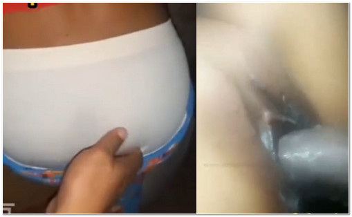 အိပ်နေတဲ့အိုးကိုကြည့်ပြီး မနေနိုင်လို့ တက်လိုးတဲ့ ဘဲကြီး