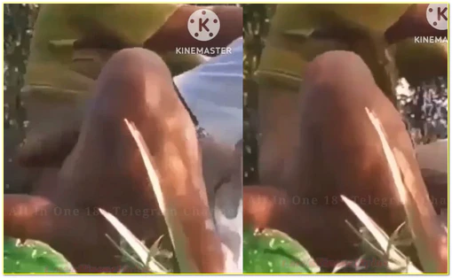 အန်တီကြီးအတွဲ တောတိုး မြန်မာလိုးကား