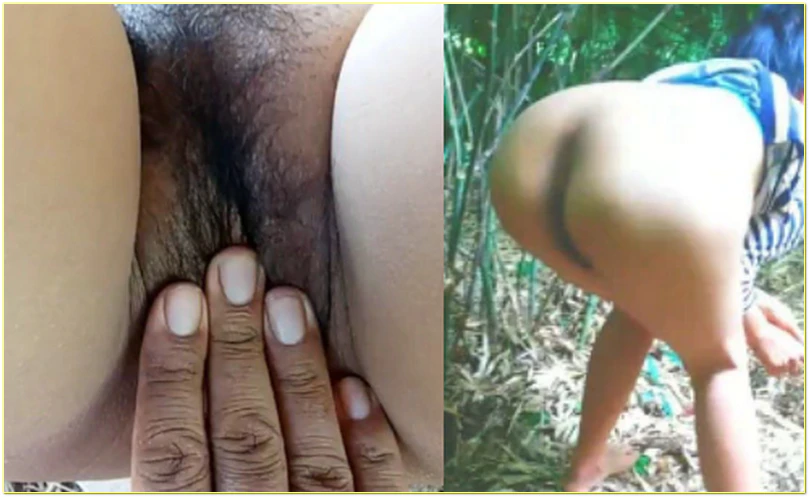 ဆော်ကြီးက လုံးခံနေတာပဲ